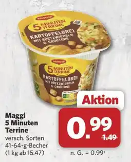 Combi Maggi 5 Minuten Terrine Angebot