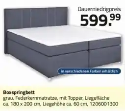 ROLLER Boxspringbett Angebot