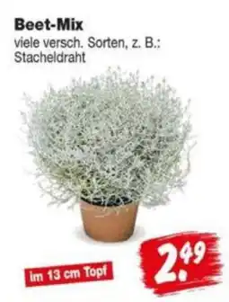 Repo Markt Beet-Mix Angebot