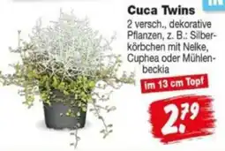 Repo Markt Cuca Twins Angebot