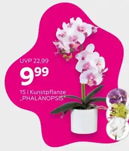Mömax Kunstpflanze "PHALÄNOPSIS" Angebot