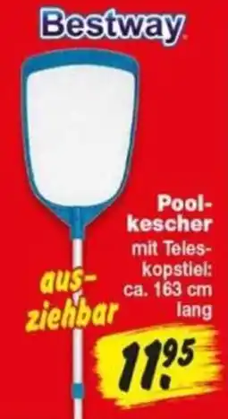 Repo Markt Bestway Pool-kescher Angebot