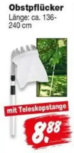 Repo Markt Obstpflücker Angebot