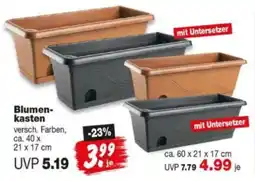 Repo Markt Blumenkasten Angebot
