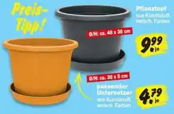 Repo Markt Pflanztopf aus Kunststoff Angebot