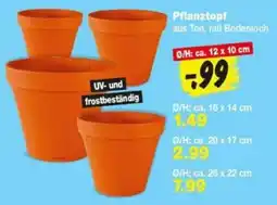 Repo Markt Pflanztopf aus Ton Angebot
