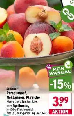 Wasgau SanLucar Paraguayos, Nektarinen, Pfirsiche oder Aprikosen Angebot