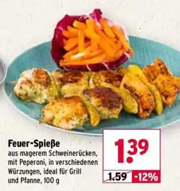 Wasgau Feuer-Spieße Angebot