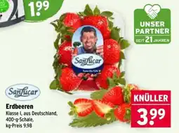 Wasgau Sanfucar Erdbeeren Angebot