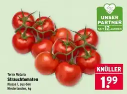 Wasgau Terra Natura Strauchtomaten Angebot