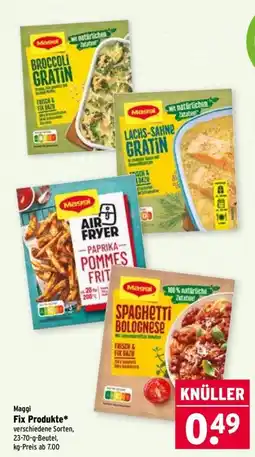 Wasgau Maggi Fix Produkte* Angebot
