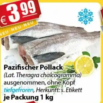 LEDO Pazifischer Pollack 1kg Angebot