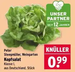 Wasgau Peter Steegmüller, Weingarten Kopfsalat Angebot