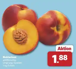 Combi Nektarinen Angebot