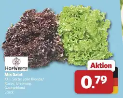 Combi Hofwerte mix salat Angebot