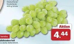 Combi Tafeltrauben hell kernlos Angebot