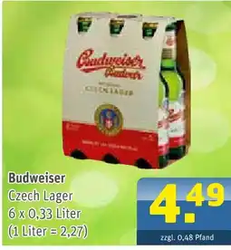 Getränke Arena Budweiser czech lager Angebot