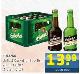 Getränke Arena Einbecker ur-bock dunkel Angebot