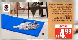 Marktkauf Buddy'z best selbstkühlende gelmatte Angebot