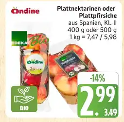 Marktkauf Ondine plattnektarinen Angebot