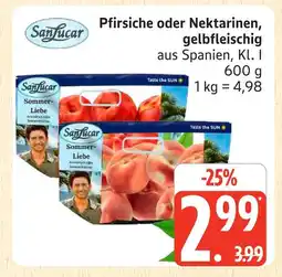 Marktkauf Sanlucar pfirsiche Angebot