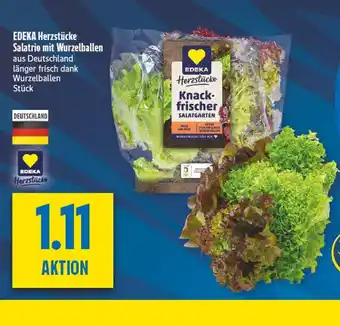 diska Edeka herzstücke salatrio mit wurzelballen Angebot