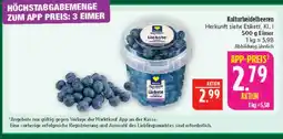 Marktkauf Kulturheidelbeeren Angebot