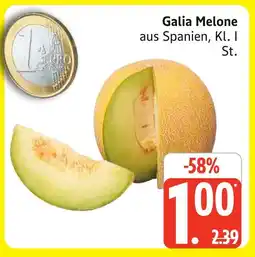Marktkauf Galia melone Angebot