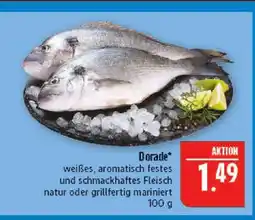 Marktkauf Dorade Angebot