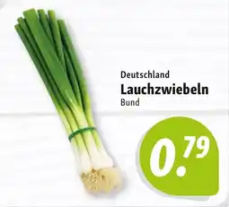 Nah & Frisch Lauchzwiebeln Bund Angebot