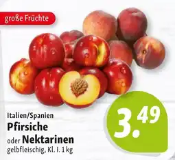 Nah & Frisch Pfirsiche oder Nektarinen Angebot