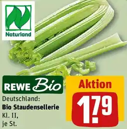 REWE Bio Staudensellerie Angebot
