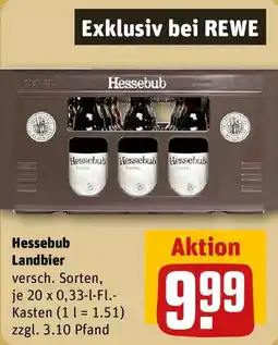 REWE Hessebub Landbier Angebot