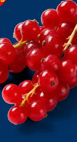Lidl Deutsche Johannisbeeren, lose Angebot