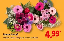 Lidl Bunter Strauß Angebot