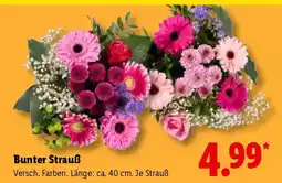 Lidl Bunter Strauß Angebot