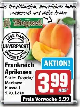 HIT Frankreich Aprikosen Angebot