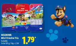 Lidl MILBONA Mini Früchte Trio Angebot