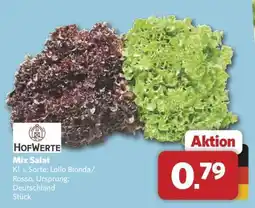 Combi Mix-Salat Angebot