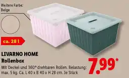 Lidl LIVARNO LED-Lichterkette Angebot