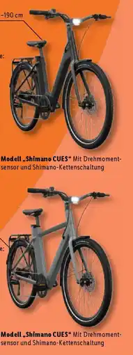 Lidl CRIVIT Urban E-Bike X.3/Y.3,27,5" Modell, Shimano CUES" Angebot