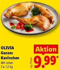 Lidl OLIVIA Ganzes Kaninchen Angebot