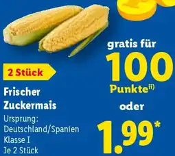 Lidl Frischer Zuckermais Angebot