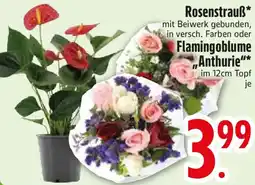 Edeka Rosenstrauß oder Flamingoblume Anthurie Angebot