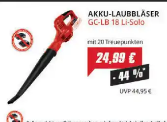 E-Center Einhell Akku-Laubblaser | GC-LB 18 Li-Solo Angebot