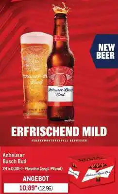 METRO ANHEUSER-BUSCH BUD Angebot