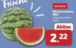 Combi Wassermelonen Mini Angebot