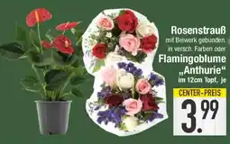 E-Center Rosenstrauß oder Flamingoblume „Anthurie" Angebot