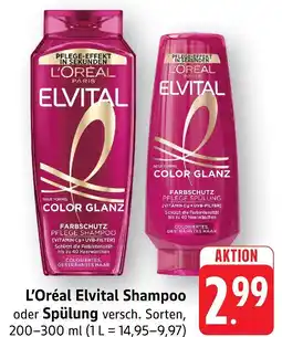 Marktkauf L'oréal elvital shampoo Angebot
