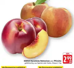 Marktkauf Edeka herzstücke nektarinen Angebot